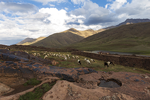 Beautiful Atlas mountain landscape with sheep